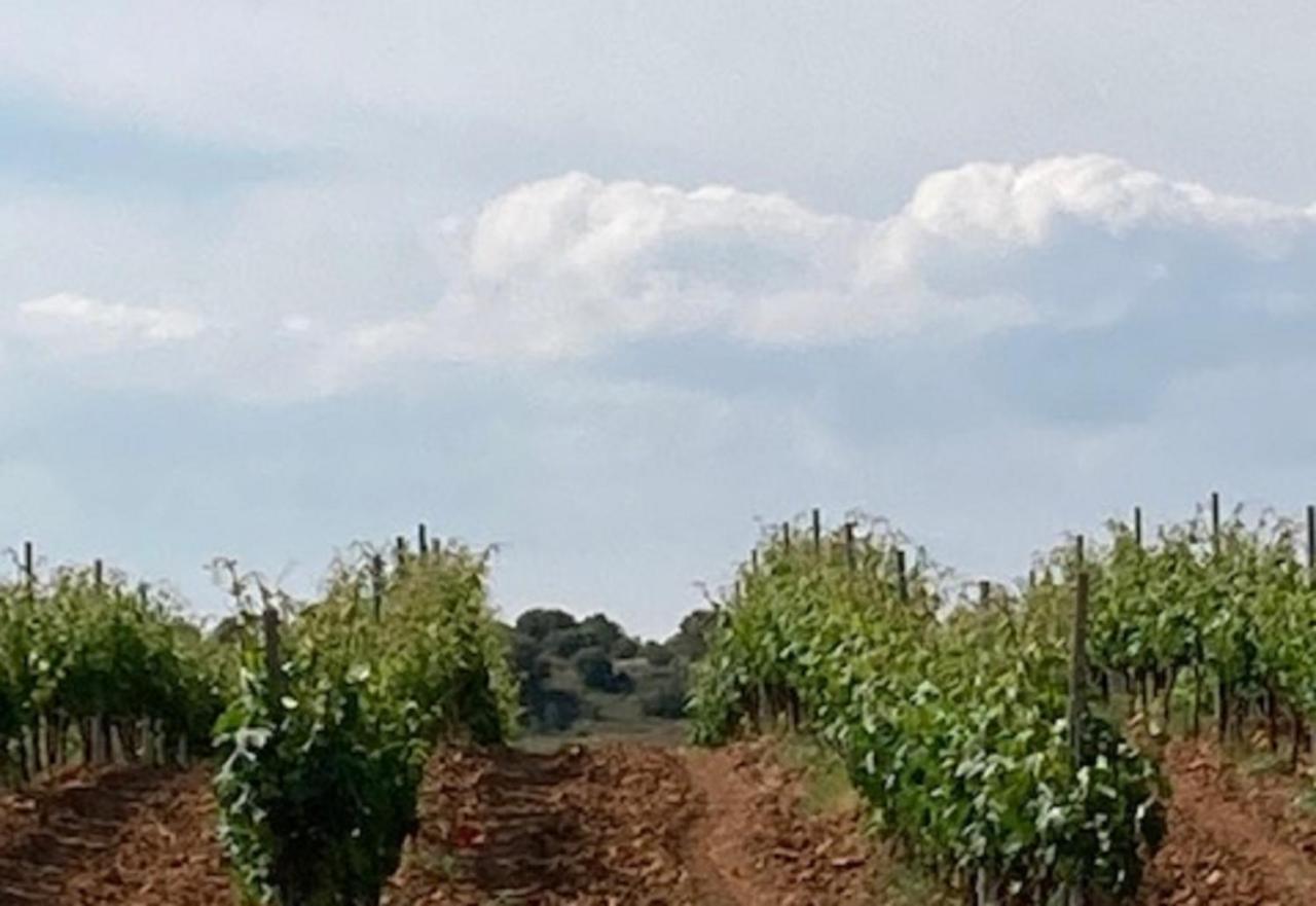 Apartamento Turistico Cerca Aranda De Duero La Ren Lecres Vadocondes Εξωτερικό φωτογραφία