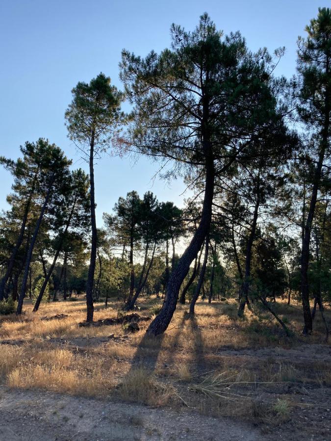 Apartamento Turistico Cerca Aranda De Duero La Ren Lecres Vadocondes Εξωτερικό φωτογραφία